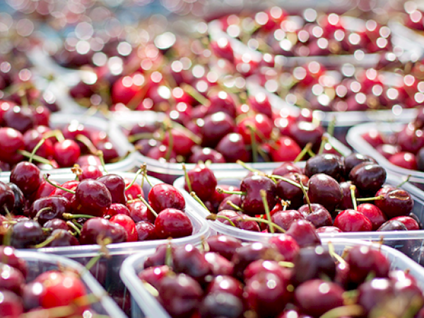 The image shows several containers filled with ripe red cherries, displayed in a market setting.