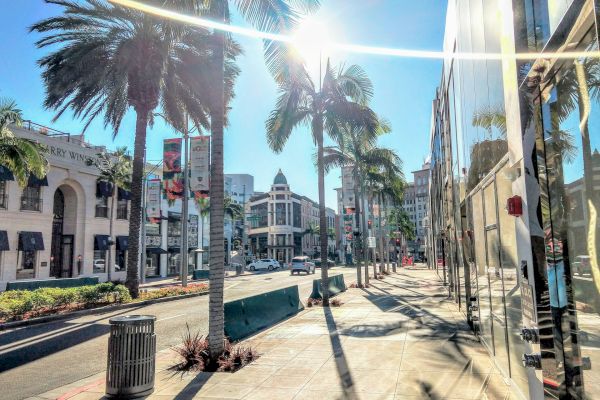 A sunlit street scene with palm trees, buildings, and a glass storefront reflecting the vibrant urban environment.