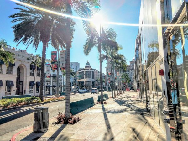 A sunlit street scene with palm trees, buildings, and a glass storefront reflecting the vibrant urban environment.